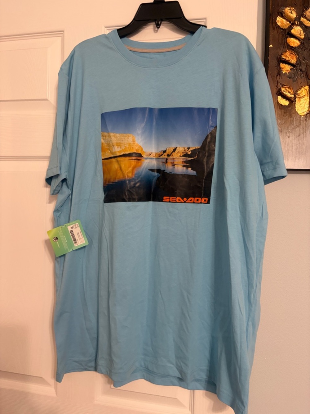 Light Blue Graphic Men's T‑Shirt 2XL